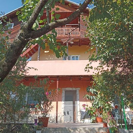 Vila Mara Sărata-Monteoru Exteriör bild