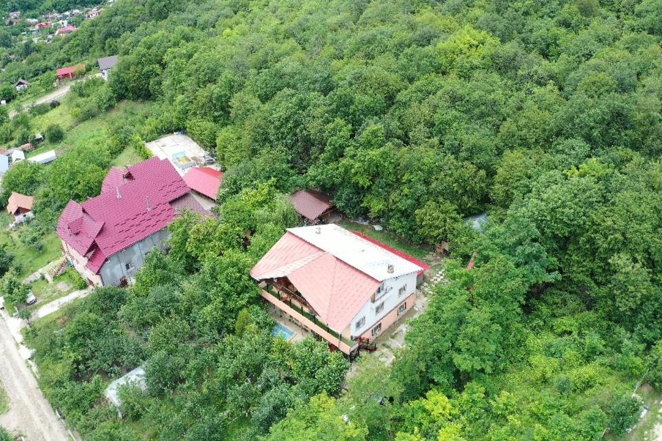 Vila Mara Sărata-Monteoru Exteriör bild