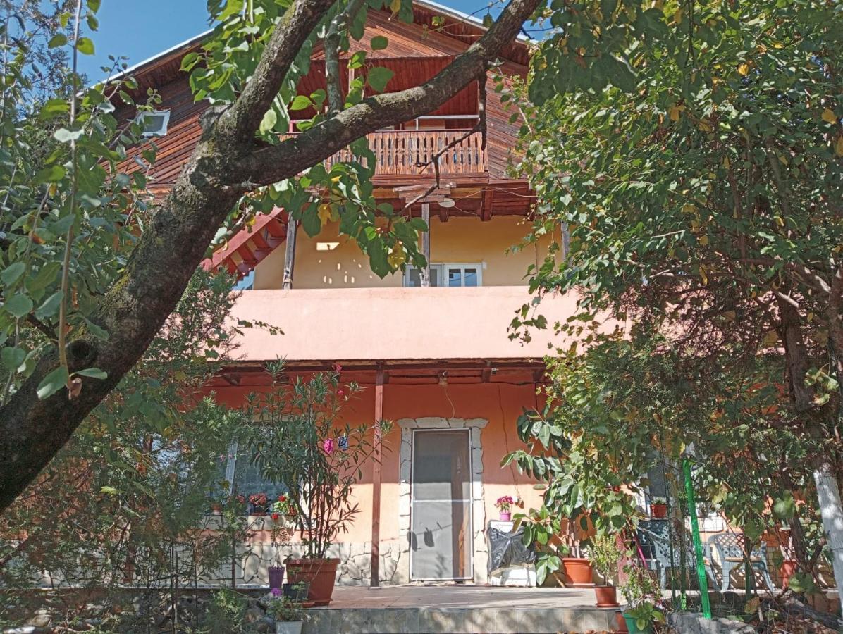 Vila Mara Sărata-Monteoru Exteriör bild